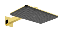 Hansgrohe Raindance Alive Q douche de tête 210 x 340 mm 2jet avec bras de douche mural - Polished Gold Optic