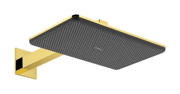 Hansgrohe Raindance Alive Q douche de tête 210 x 340 mm 2jet avec bras de douche mural - Polished Gold Optic