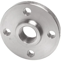 STD Inox 316 bride filetée DN40 - 6/4