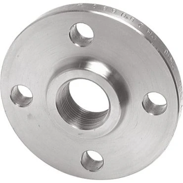 STD Inox 316 draadflens DN65 - 2 1/2