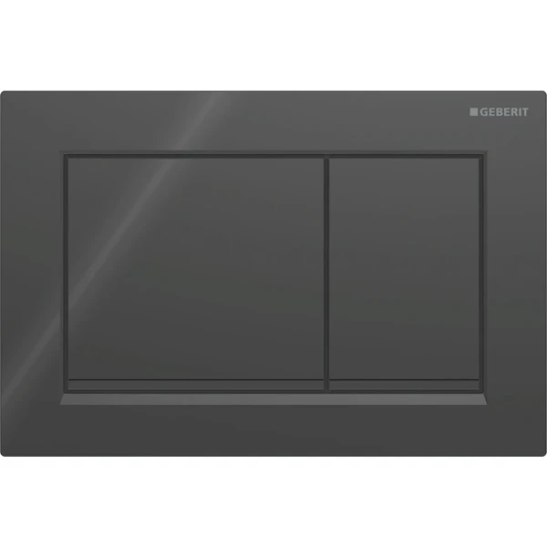 Plaque de déclenchement Geberit Omega30 pour rinçage à 2 volumes - noir - noires mates