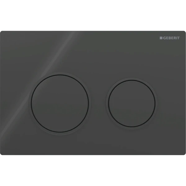 Plaque de déclenchement Geberit Omega20 pour rinçage à 2 volumes - noir - noirs mats
