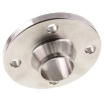 STD Inox 316 bride à souder DN50 - 2 - 60,3 x 2,0 mm
