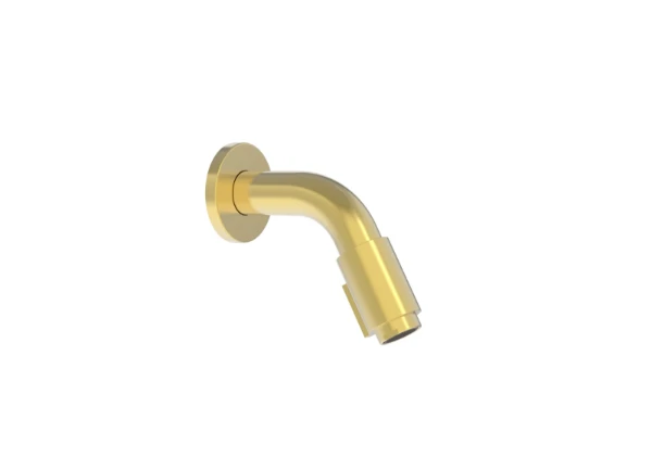 Procasa Vivo koudwaterkraan 110 mm - wandmodel - Brushed Gold PVD - goud mat PVD
