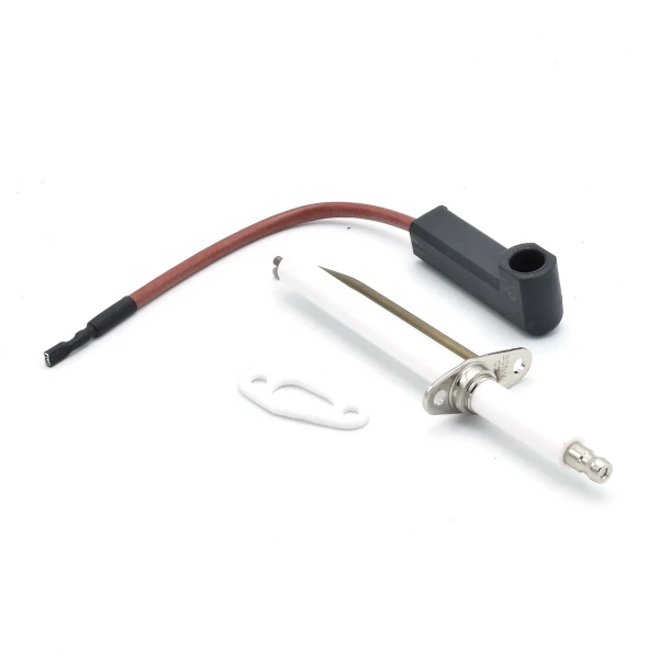 DAALDEROP electrode d'allumage gascombi
