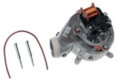 BULEX WSS Extracteur