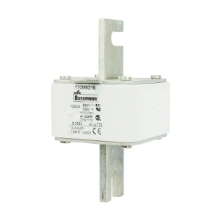 Eaton - HRC zekering - FUSE 1250A 690V 3TN/110 AR UC 170M6216 11431431