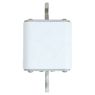 Eaton - HRC zekering - FUSE 1250A 1000V 3TN/110 AR 170M8641 11491145