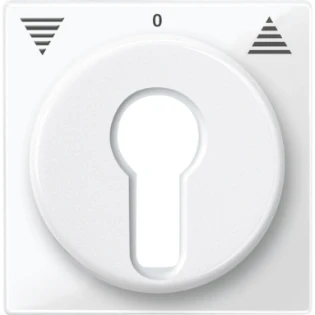 Schneider Electric - Bedieningselement /centraalplaat schakelmateriaal - 319419 319419 12170480