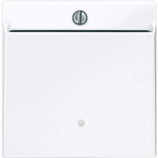 Schneider Electric - Bedieningselement /centraalplaat schakelmateriaal - 315625 315625 12170567