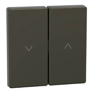Schneider Electric - Bedieningselement /centraalplaat schakelmateriaal - MEG3855-6052 MEG3855-6052 12170765