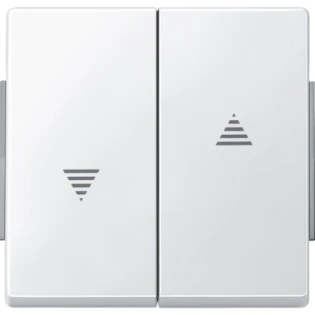 Schneider Electric - Bedieningselement /centraalplaat schakelmateriaal - 343419 343419 12171338