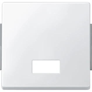 Schneider Electric - Bedieningselement /centraalplaat schakelmateriaal - 343819 343819 12171684