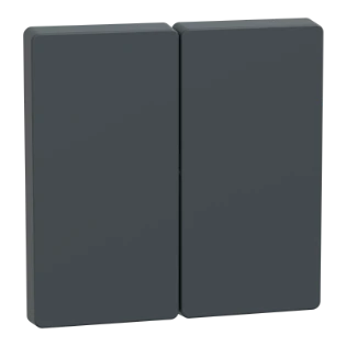 Schneider Electric - Bedieningselement /centraalplaat schakelmateriaal - MEG3400-6034 MEG3400-6034 12171889