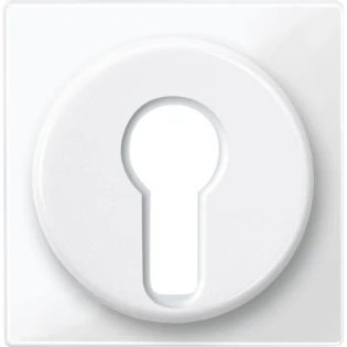 Schneider Electric - Bedieningselement /centraalplaat schakelmateriaal - 319519 319519 12171921