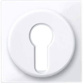 Schneider Electric - Bedieningselement /centraalplaat schakelmateriaal - 319525 319525 12172428
