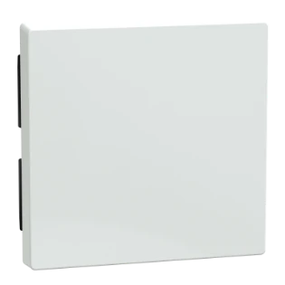 Schneider Electric - Bedieningselement /centraalplaat schakelmateriaal - 432125 432125 12173072