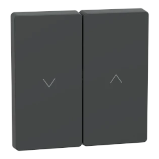 Schneider Electric - Bedieningselement /centraalplaat schakelmateriaal - MEG3855-6034 MEG3855-6034 12173123