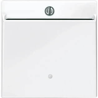 Schneider Electric - Bedieningselement /centraalplaat schakelmateriaal - 315619 315619 12173229
