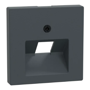 Schneider Electric - Onderdeel/centraalplaat communicatie-schakelmateriaal - 298314 298314 12173357