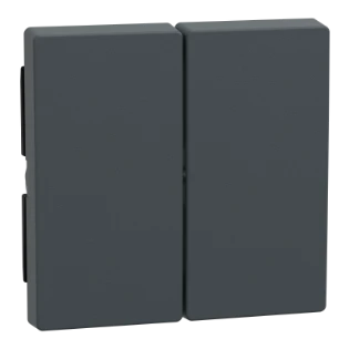 Schneider Electric - Bedieningselement /centraalplaat schakelmateriaal - 433514 433514 12173756