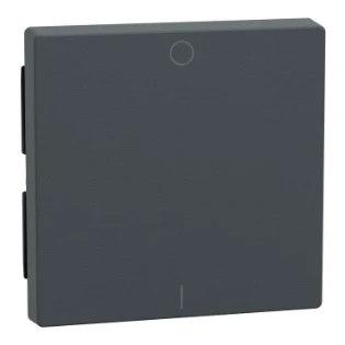 Schneider Electric - Bedieningselement /centraalplaat schakelmateriaal - 433214 433214 12181262