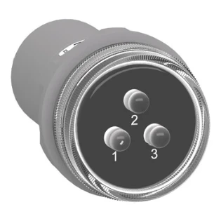 Schneider Electric - Signaallamp - XB5EV57L4 XB5EV57L4 12184806