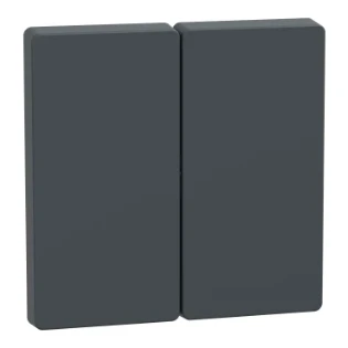 Schneider Electric - Bedieningselement /centraalplaat schakelmateriaal - MEG3400-6034 MEG3400-6034 12185611