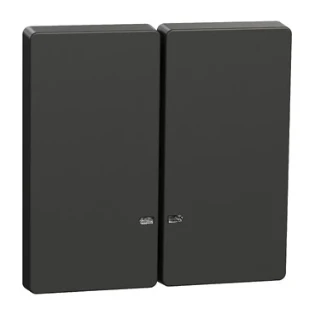 Schneider Electric - Bedieningselement /centraalplaat schakelmateriaal - MEG3420-6034 MEG3420-6034 12185953