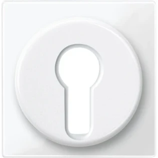 Schneider Electric - Bedieningselement /centraalplaat schakelmateriaal - 319519 319519 12186122