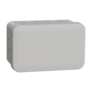 Schneider Electric - Doos voor montage op de wand/plafond - ENN05083 ENN05083 12186278