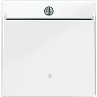 Schneider Electric - Bedieningselement /centraalplaat schakelmateriaal - 315619 315619 12186342