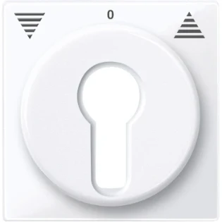 Schneider Electric - Bedieningselement /centraalplaat schakelmateriaal - 319425 319425 12186891