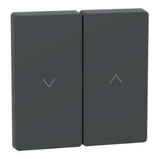 Schneider Electric - Bedieningselement /centraalplaat schakelmateriaal - MEG3855-6034 MEG3855-6034 12187001