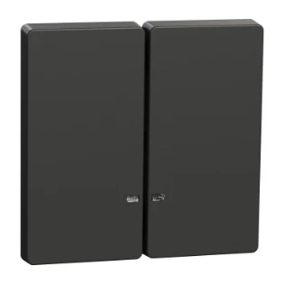 Schneider Electric - Bedieningselement /centraalplaat schakelmateriaal - MEG3420-6034 MEG3420-6034 12187451