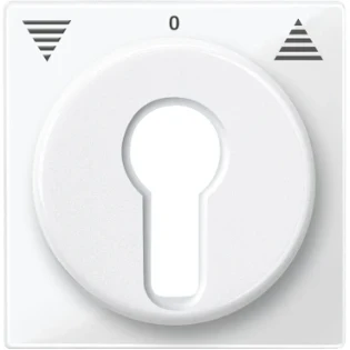 Schneider Electric - Bedieningselement /centraalplaat schakelmateriaal - 319419 319419 12187756