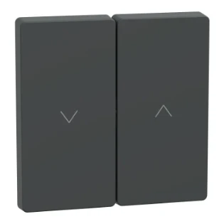 Schneider Electric - Bedieningselement /centraalplaat schakelmateriaal - MEG3855-6034 MEG3855-6034 12188032