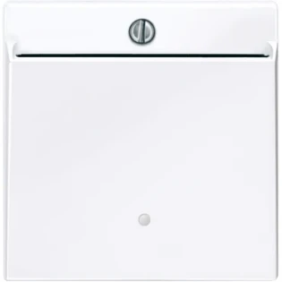 Schneider Electric - Bedieningselement /centraalplaat schakelmateriaal - 315625 315625 12188194