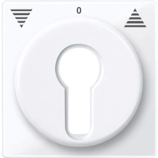 Schneider Electric - Bedieningselement /centraalplaat schakelmateriaal - 319425 319425 12188776