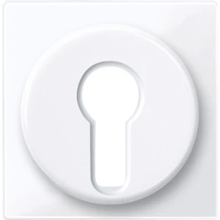 Schneider Electric - Bedieningselement /centraalplaat schakelmateriaal - 319525 319525 12189016