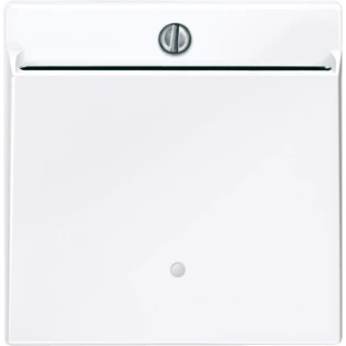 Schneider Electric - Bedieningselement /centraalplaat schakelmateriaal - 315625 315625 12189575