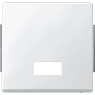 Schneider Electric - Bedieningselement /centraalplaat schakelmateriaal - 343819 343819 12189598