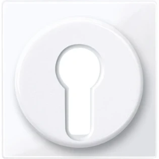 Schneider Electric - Bedieningselement /centraalplaat schakelmateriaal - 319525 319525 12189823