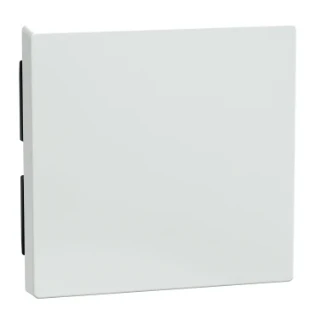 Schneider Electric - Bedieningselement /centraalplaat schakelmateriaal - 432125 432125 12190015