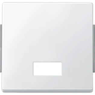 Schneider Electric - Bedieningselement /centraalplaat schakelmateriaal - 343819 343819 12190265