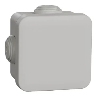 Schneider Electric - Doos voor montage op de wand/plafond - ENN05002 ENN05002 12190852