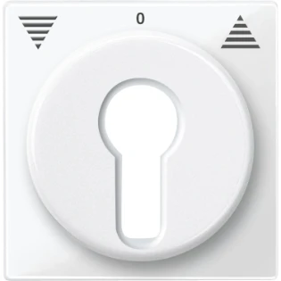Schneider Electric - Bedieningselement /centraalplaat schakelmateriaal - 319419 319419 12191728