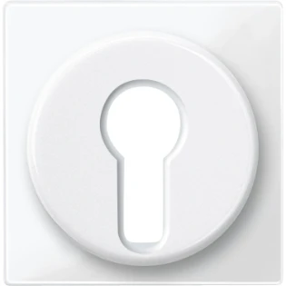 Schneider Electric - Bedieningselement /centraalplaat schakelmateriaal - 319519 319519 12192308