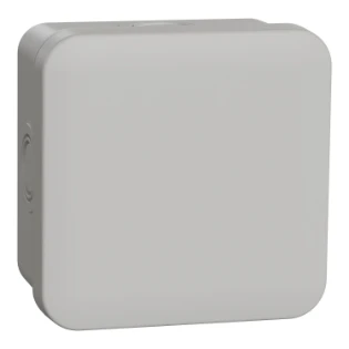 Schneider Electric - Doos voor montage op de wand/plafond - ENN05084 ENN05084 12192370