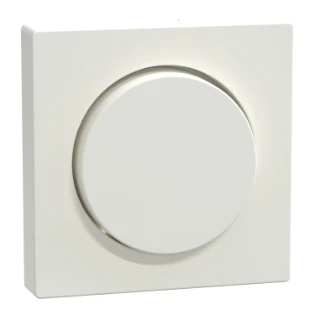 Schneider Electric - Bedieningselement /centraalplaat schakelmateriaal - MEG5250-0319 MEG5250-0319 12193901